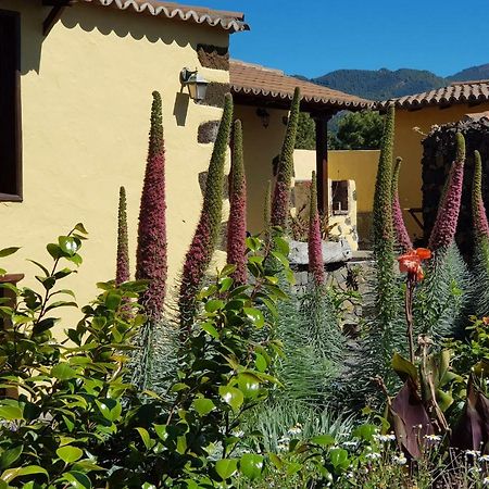 Vila Ismail El Paso Exteriér fotografie